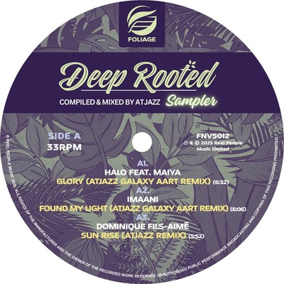 Various Artists Deep Rooted (Compiled and Mixed By Atjazz) - Vinyl Sampl (Vinyl)