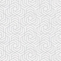 32607 - Das Neue Design Buch Geometrisch Silbergrau Galerie Tapete