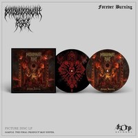 Denouncement Pyre - Forever Burning Picture Disc - Vinyl Record 12PD - F72Z