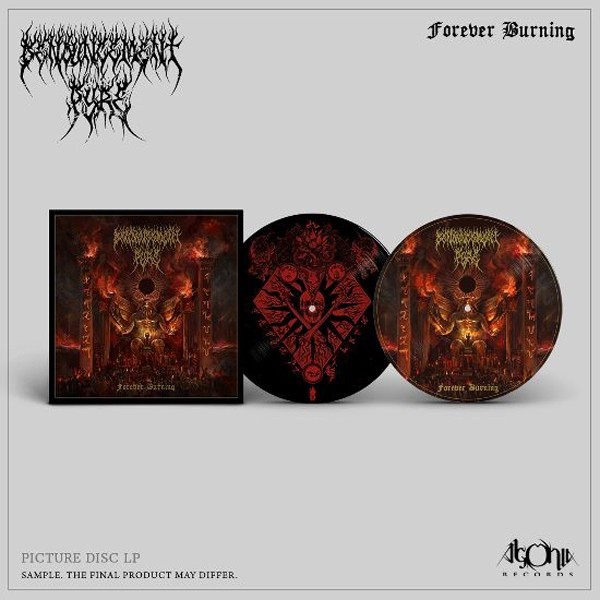 Denouncement Pyre - Forever Burning Picture Disc - Vinyl Record 12PD - F72Z-image