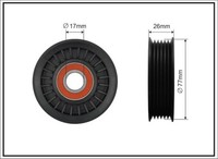 Caffaro 178-00 Spannrolle, Keilrippenriemen FüR Ford