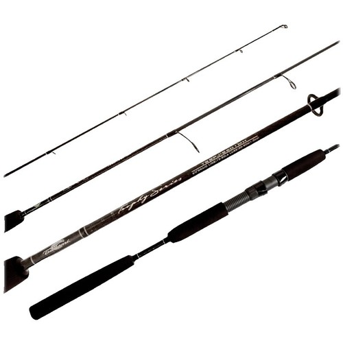 Tsunami Airwave Elite Surf Spinning Rods | eBay