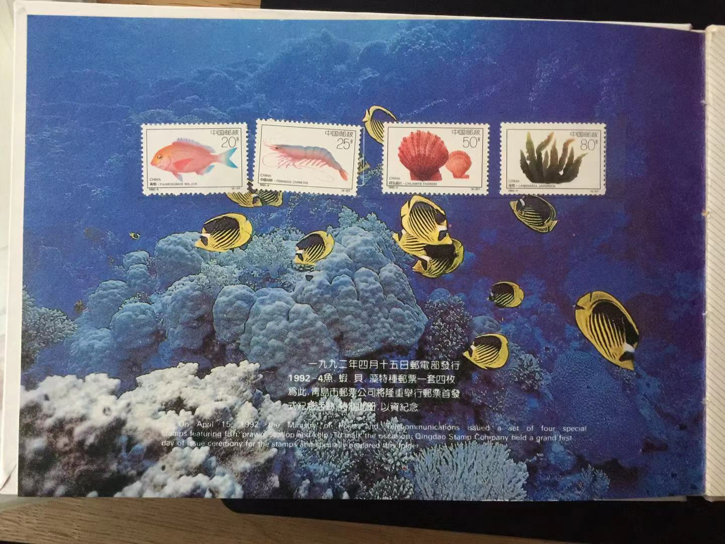 Picture 2 of 11