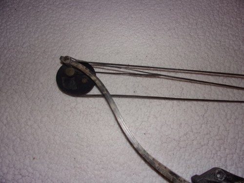 Youth Compound Bow with Long Draw - Picture 3 of 15