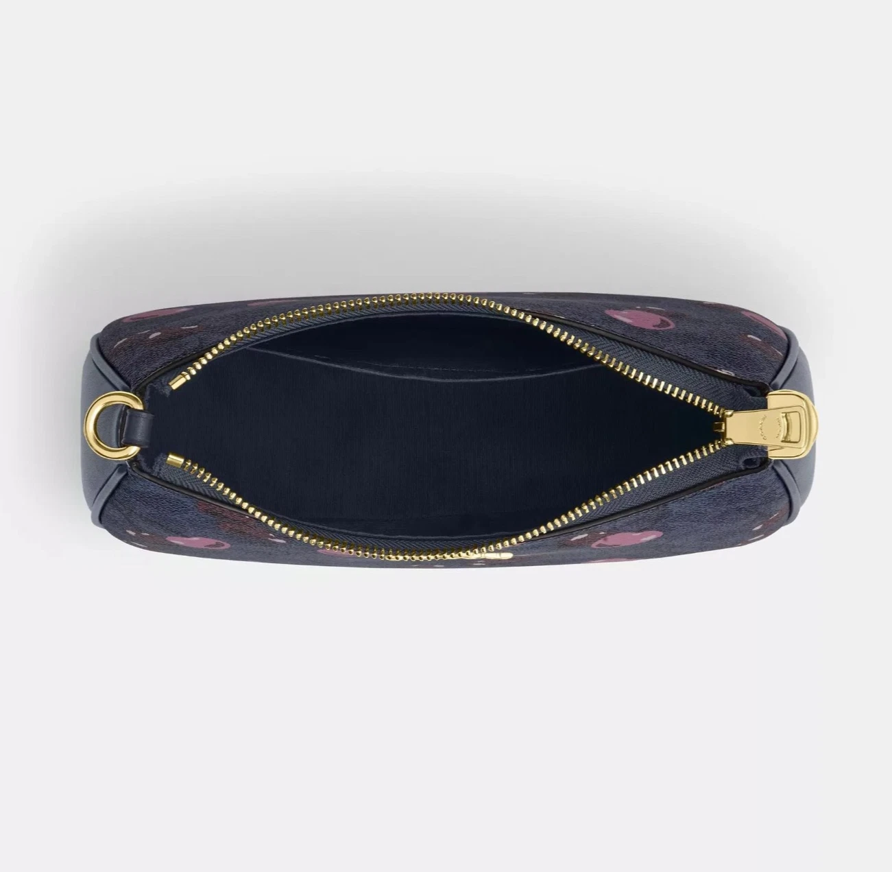 Borsa a tracolla COACH donna Teri