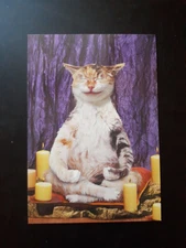 Funny Encouragement Card 