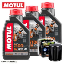 Harley-Davidson XL 883N Sportster Iron LE 2009-2010 Tagliando Olio Motul 7100...