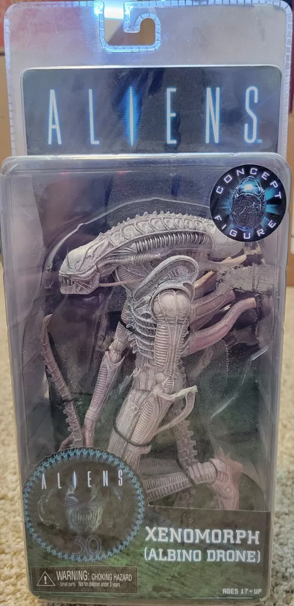 Albino xenomorph outlet