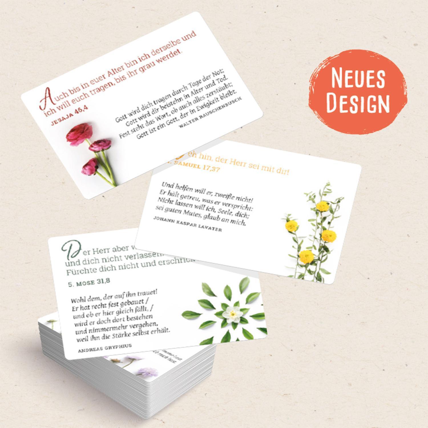 Spruchkärtchen Mit Bibelversen 2 Alexa Länge Taschenbuch 50 S. Deutsch