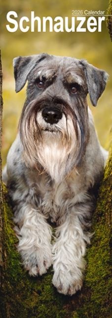 Schnauzer 2026 Slim Wall Calendar Official