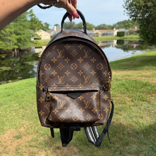 Louis Vuitton Palm Springs PM Backpack Womens Brown Monogram Authenticated