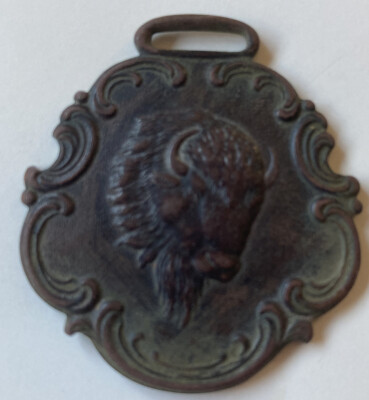 Vtg BUFFALO BRAND RUBBER BOOTS ADVERTISING Buffalo Head Collectible Medallion