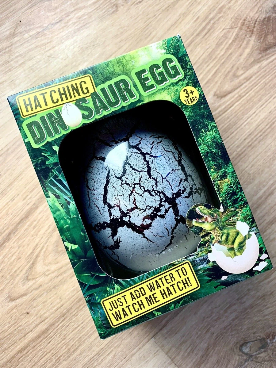 Hatching Dinosaur Egg - Amazing, just add water to watch me hatch! Fun gift