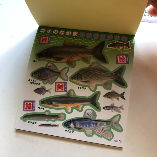 FISH Japanese Stickers book 274 stickers Shogakkan NEO Book Series - Picture 14 of 20