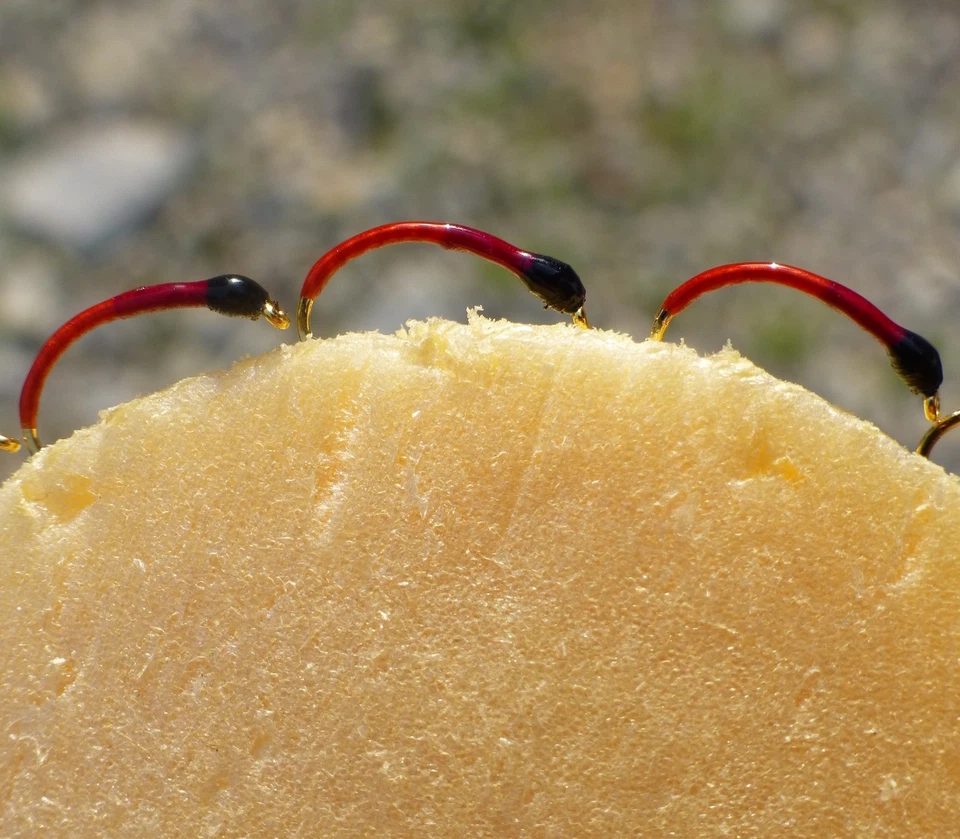 DIETERS-HEGENEN NEU 3er " Die Rote " Hegene mit zweifarbigen Nymphen in Rot Gr.14 Felchen