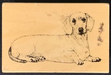 Stamp Gallery Dog Breed Dachshund Rubber Stamp