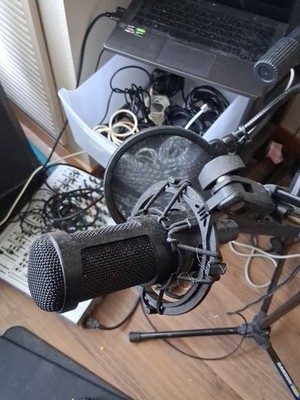 Audio Technica AT2050 Black Multi-Pattern Condenser Microphone 1763, Stand,Chord