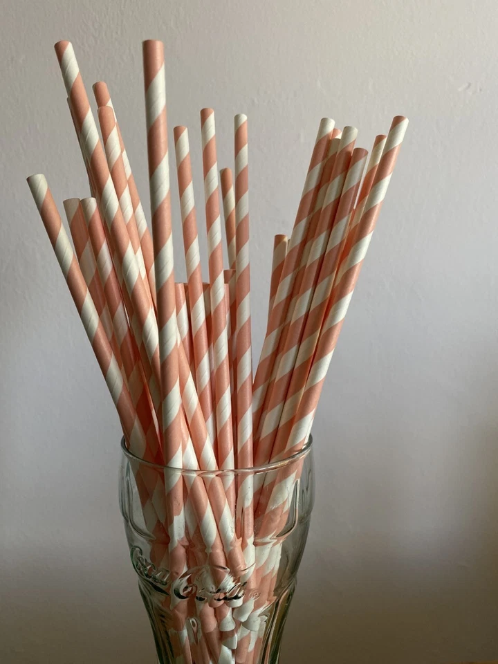 24 X PINK & White Striped Paper Straws bio disposable - Image 3 of 3