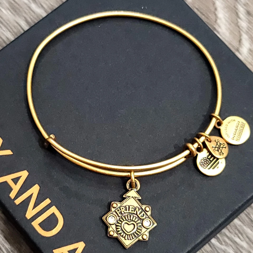 Alex And Ani Friend Charm Bracelet - Imagem 2 de 4