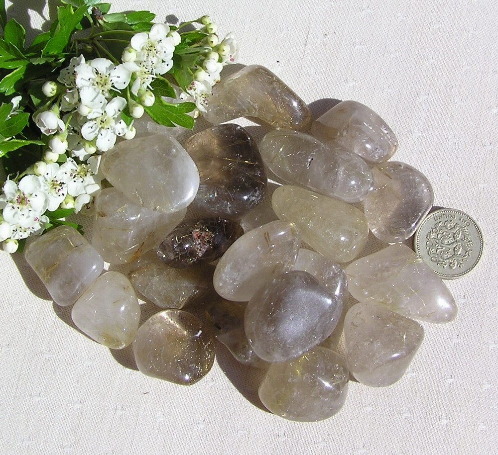 Bild 1 von 5