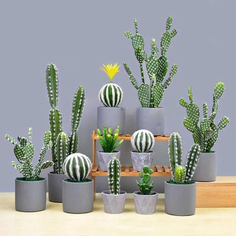 Piedra pómez, superficie y lava 2 gal. Mezcla de suelo para suelo bonsai de larga duración - ENVÍO RÁPIDO Foto 3 de 3