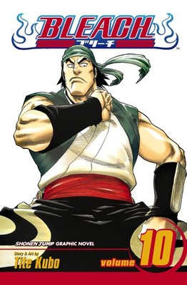 Bleach, Volume 10