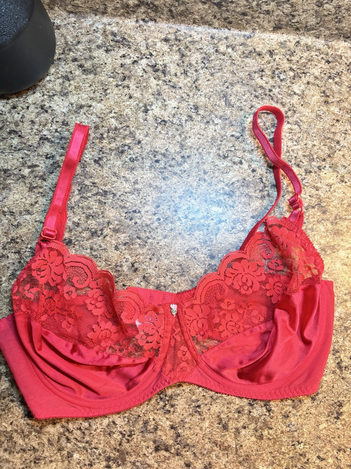 36D CHANTILLY Maidenform® Vintage 80s