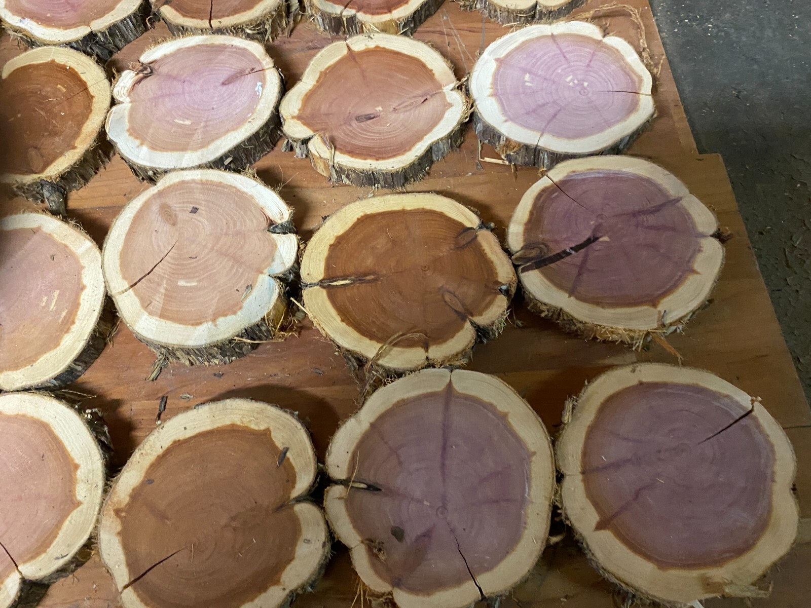 24 Rustic Live Edge Red Cedar Rounds, Cookies, Wood Working, Craft Wood, Slices