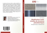 Houari Mechkour | ModéLisation Multi-éChelles De Structures PiéZoéLectriques