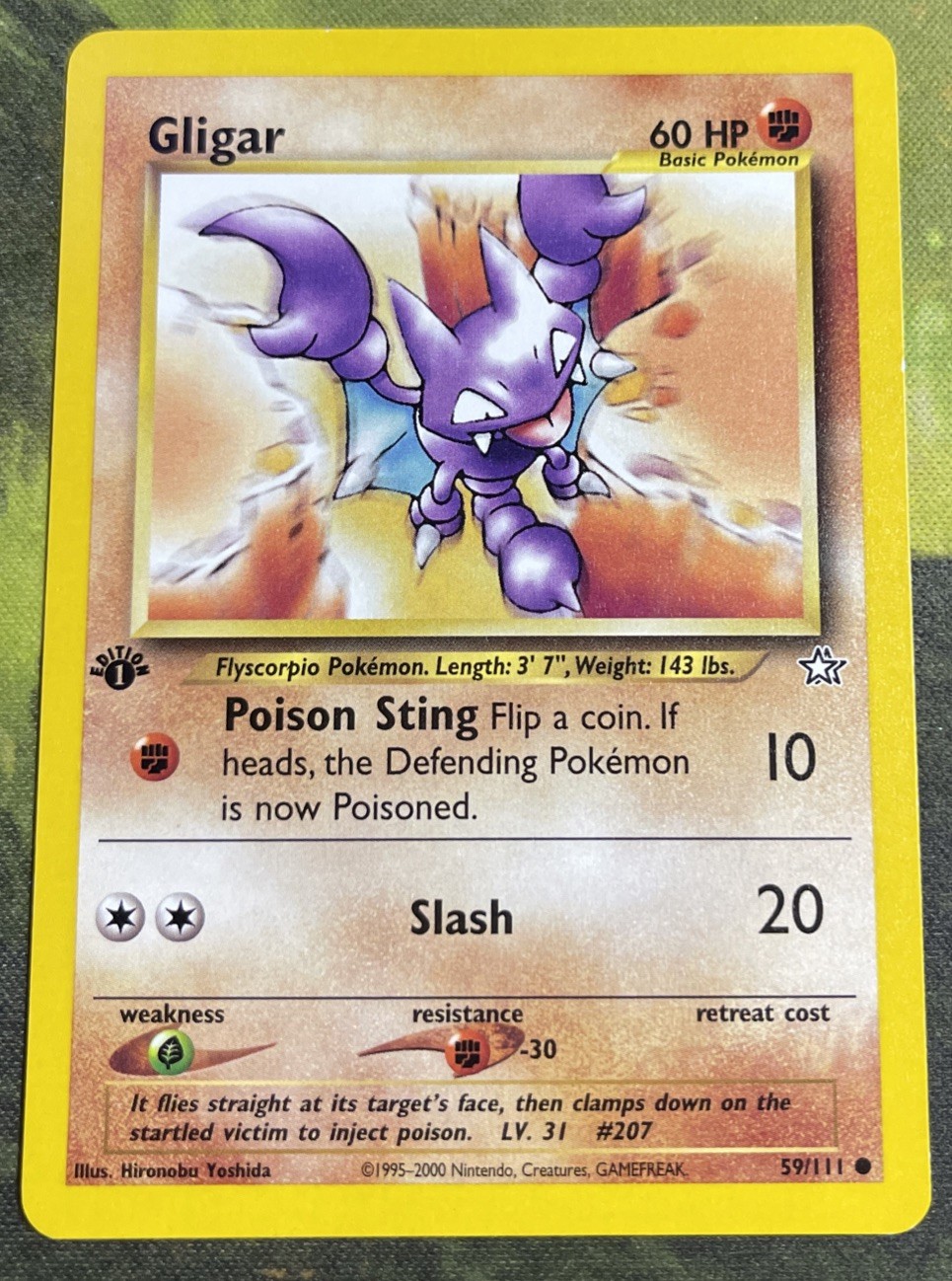 1st Edition Gligar 59/111 - Neo Genesis - Near Mint