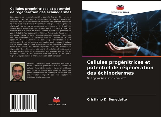 Cellules Progénitrices Et Potentiel de Régénération des Échinodermes ...