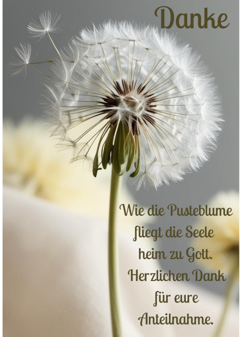 10 Trauer Dankeskarten Din A5- Danksagungskarten mit Umschlag Pusteblume Spruch