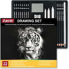 Charcoal Pencils for Drawing, Set of 22, Professional Drawing Sketch Pencils