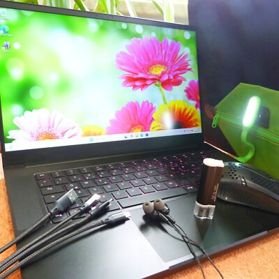 Razer Blade Stealth 15 Zoll HIGH END 3TB SSD I 64GB RAM NEU I 6GB GAMING HEXA i7