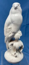 meissen porcelain blanc de chine bird Falcon Parrot figurine 8" white on white