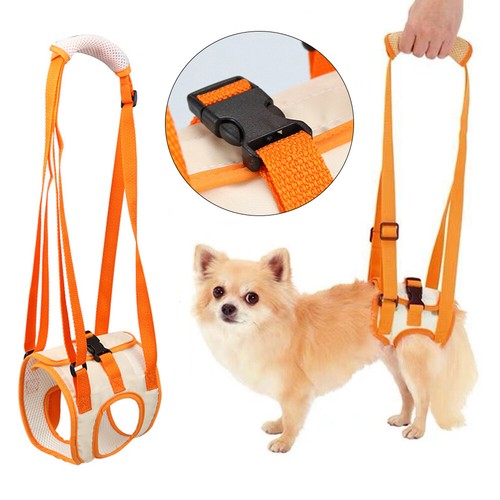 Pet Rehabilitation Übung Gürtel Boden Assist Gürtel Strap Unterstützung # æ