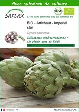 SAFLAX - BIO - Artichaut - Imperial star - 5 graines - Avec substrat - Cynara