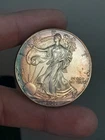 2001 $1 American Silver Eagle 1 oz Toned