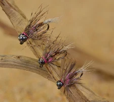 6 Flies - Tungsten Frenchie Jig Head Fly - Euro nymph Fishing- Hanak Hooks