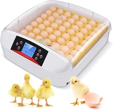 56 Eggs Automatic Egg Incubator Bird Poultry Hatcher Breeder Digital Display