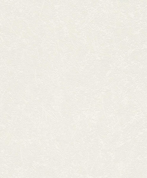 Rasch Tapete Vlies Home Vision 433746 Putzstruktur Creme Weiß Uni Vliestapete-image
