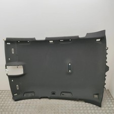 AUDI Q5 8R MK1 Dachhimmel 8R0867501T 2008 36113892