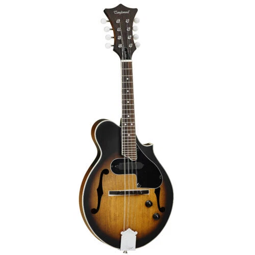 坦格尔伍德曼陀林