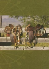 Saddle Up - Tree Free Greetings - 11366
