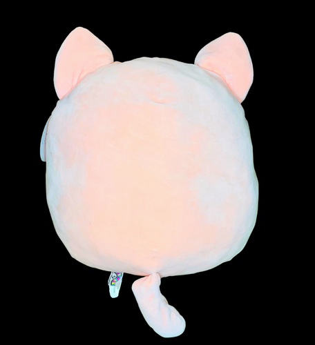 Squishmallows PAULITA The PINK CAT 16" Plush, ORIGINAL EDITION 2020 RARE & HTF! - Picture 4 of 9