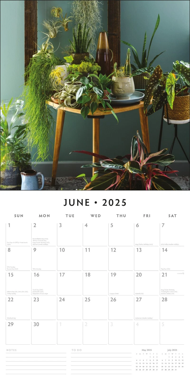 House Plants 2025 Square Wall Calendar