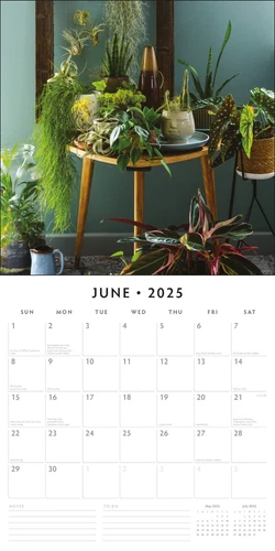 House Plants 2025 Square Wall Calendar