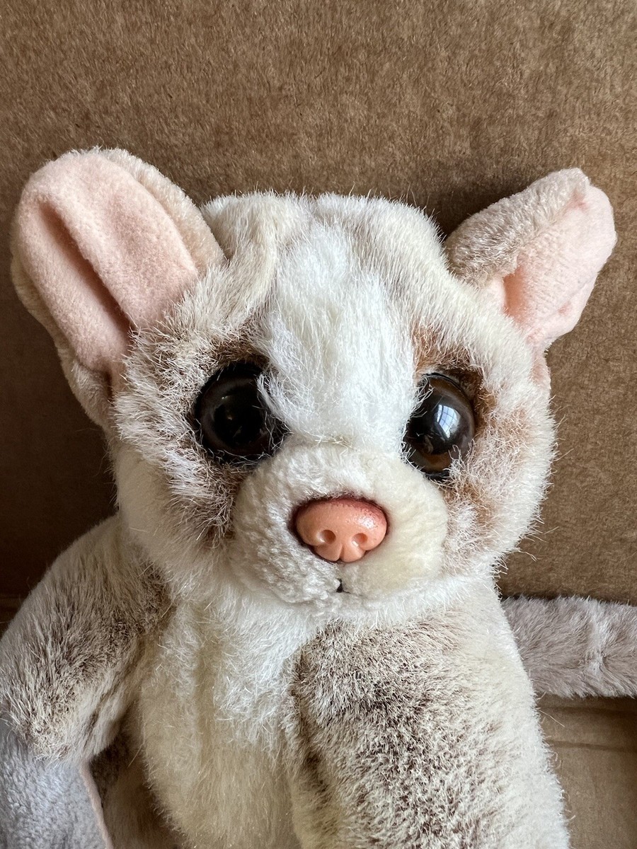 Art Black Beauty Sugar Glider 2+ Thousand Baby Sugar Glider Royalty-Free  Images, Stock Photos, image size:900x1200