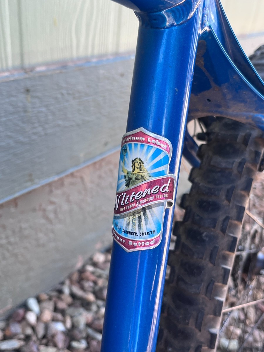 Vintage 2001 Schwinn Homegrown Pro hardtail, M (19