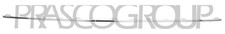Volkswagen T-Roc 18-22 Front Grille Moulding Lower Section Chrome VG7702206